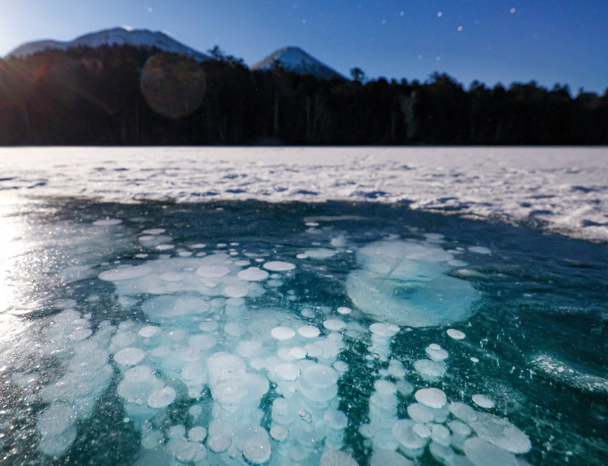 Hokkaido areas examine benefits of taxing tourists