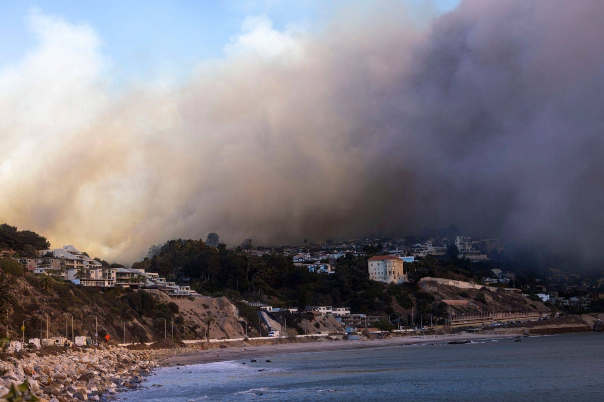 Scientists race to gauge Los Angeles fires’ impact on ocean life