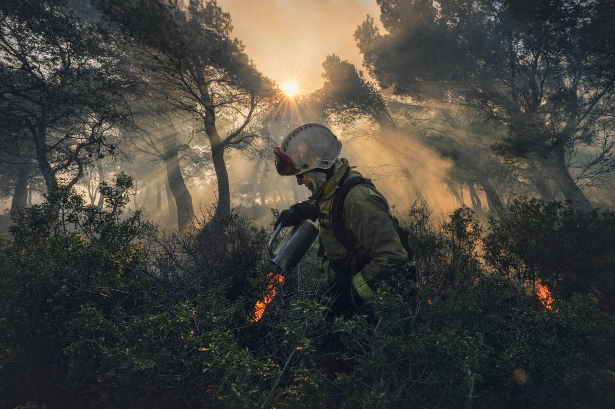 Slew of satellite projects aims to head off future wildfires