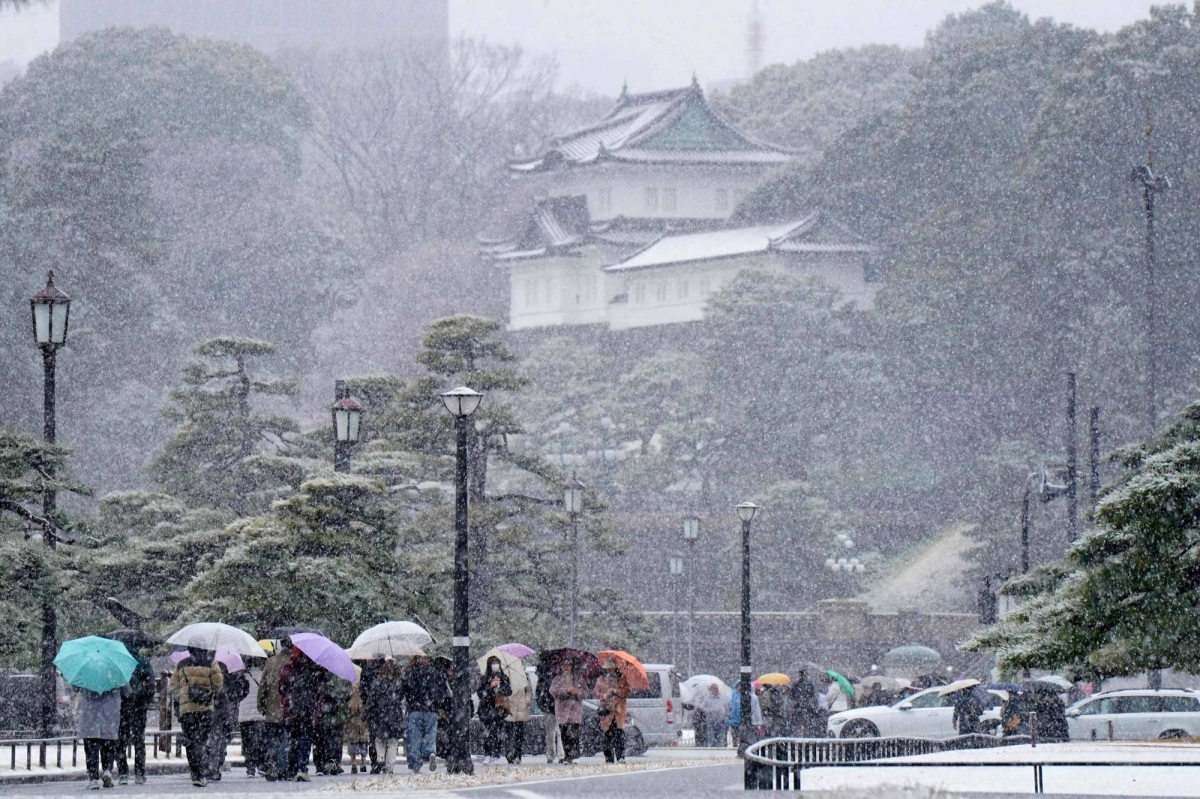 Japan's record snow in February attributed to global warming