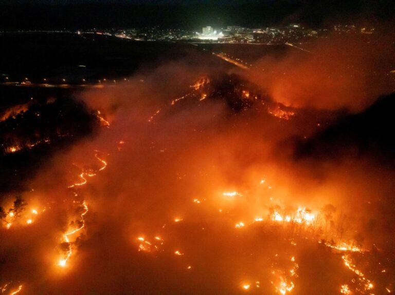 Recent spate of wildfires in Japan and South Korea linked to climate change
