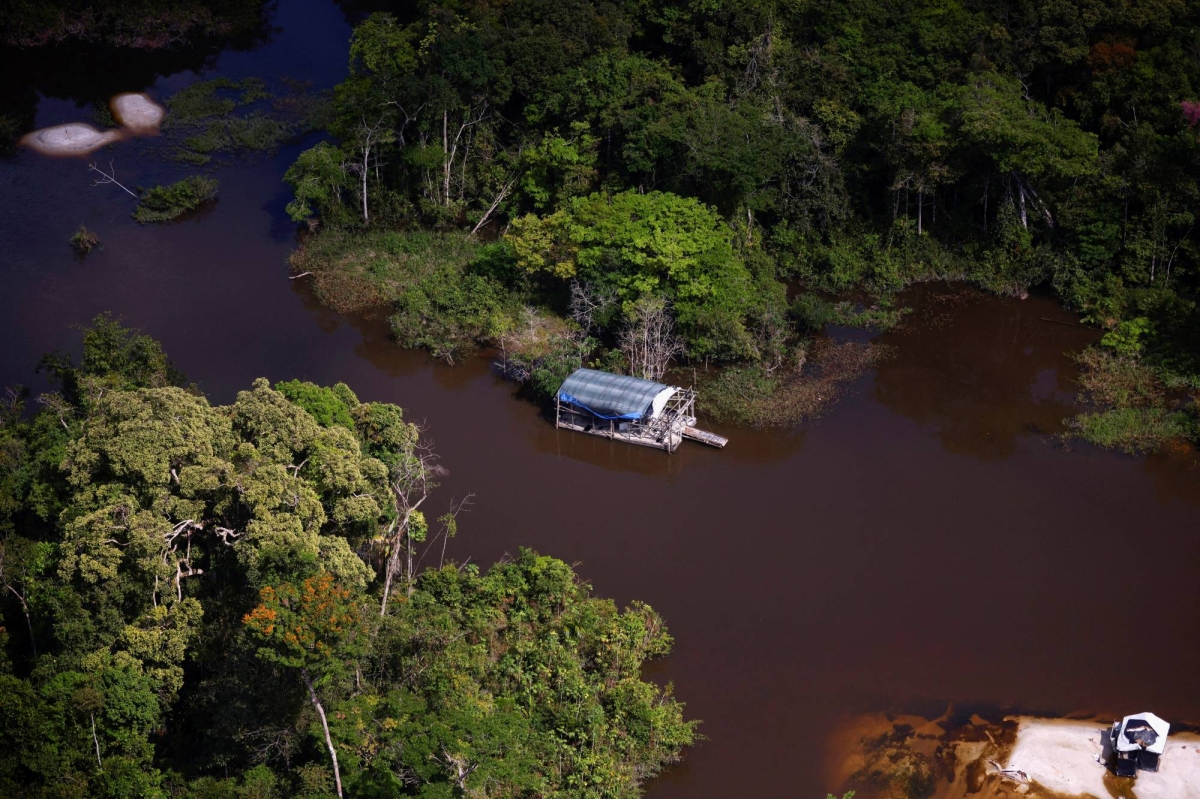 Countries could use forests to 'mask' needed emission cuts, report says