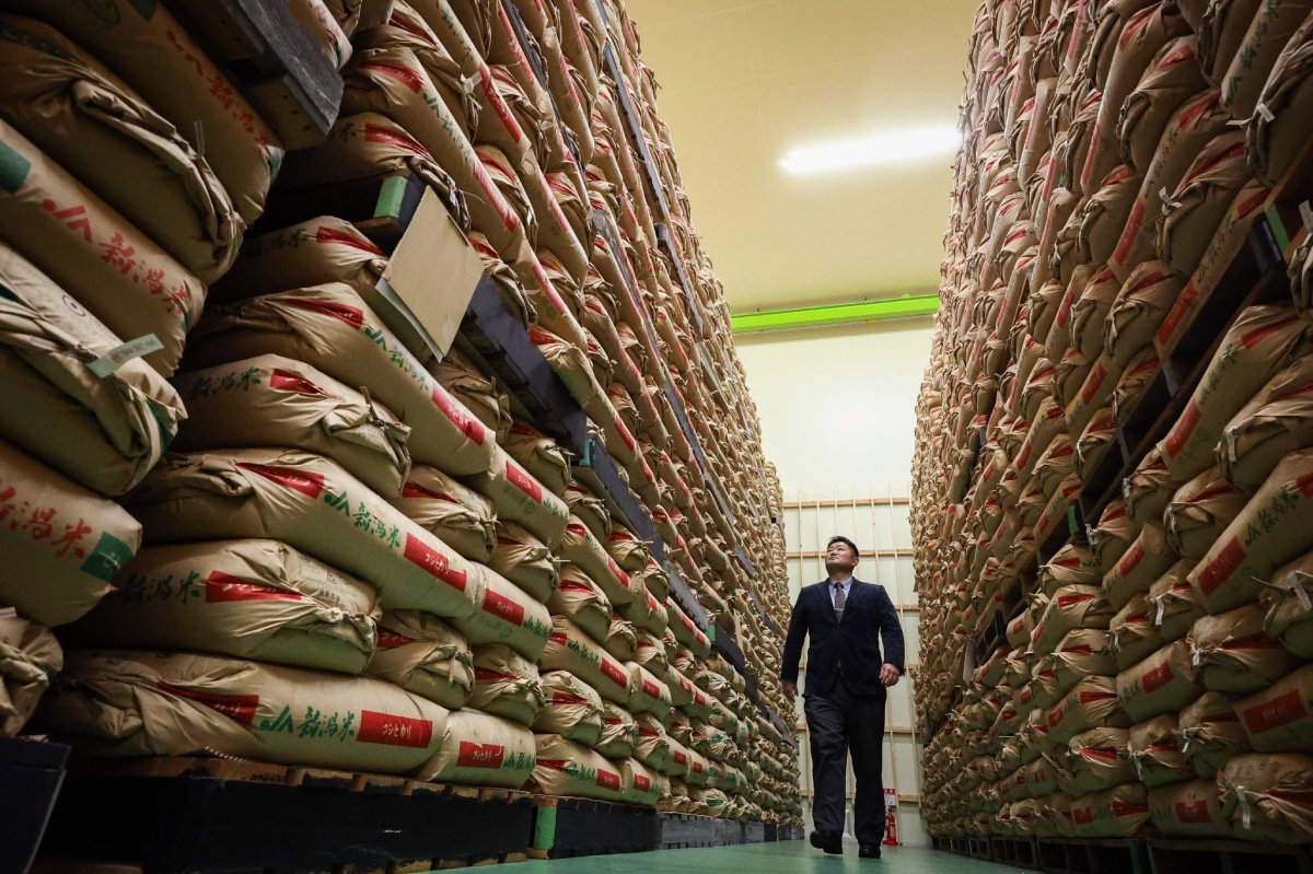 Japan to hold third auction of stockpiled rice next week