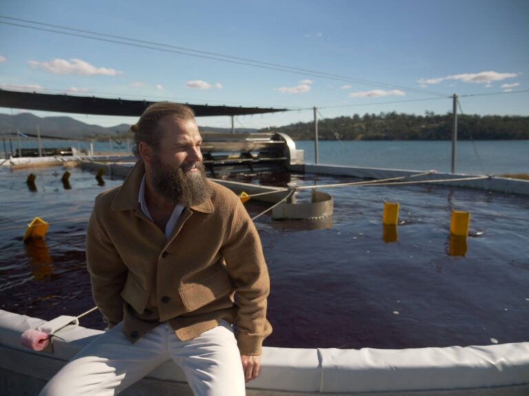 Australian seaweed farm tackles livestock burps to combat climate change