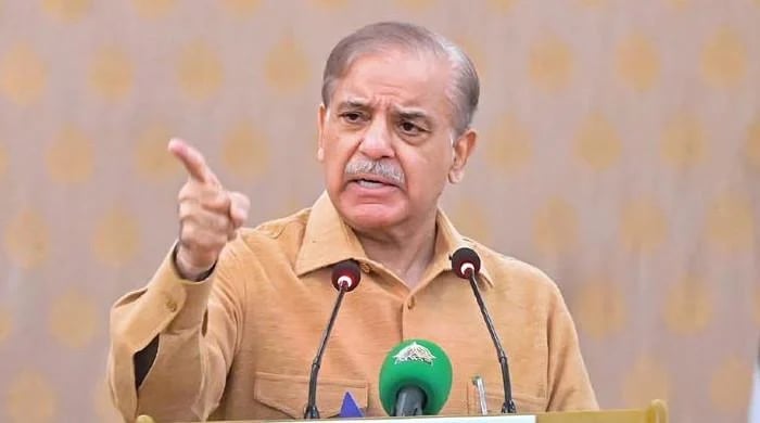 India Will Never Forget Defeat In Recent War Pm Shehbaz