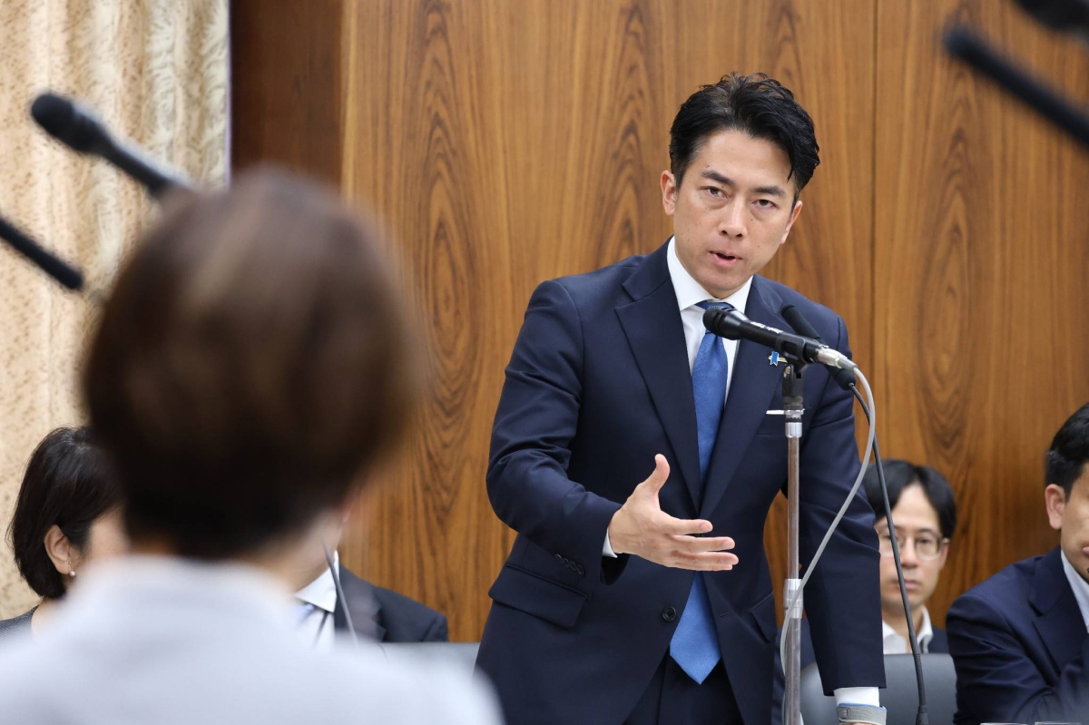 Some LDP lawmakers wary of Koizumi's aggressive price policy