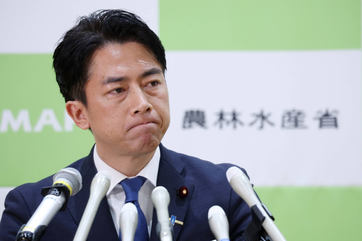 ‘Rice minister’ Koizumi faces urgent task to bring prices down quickly