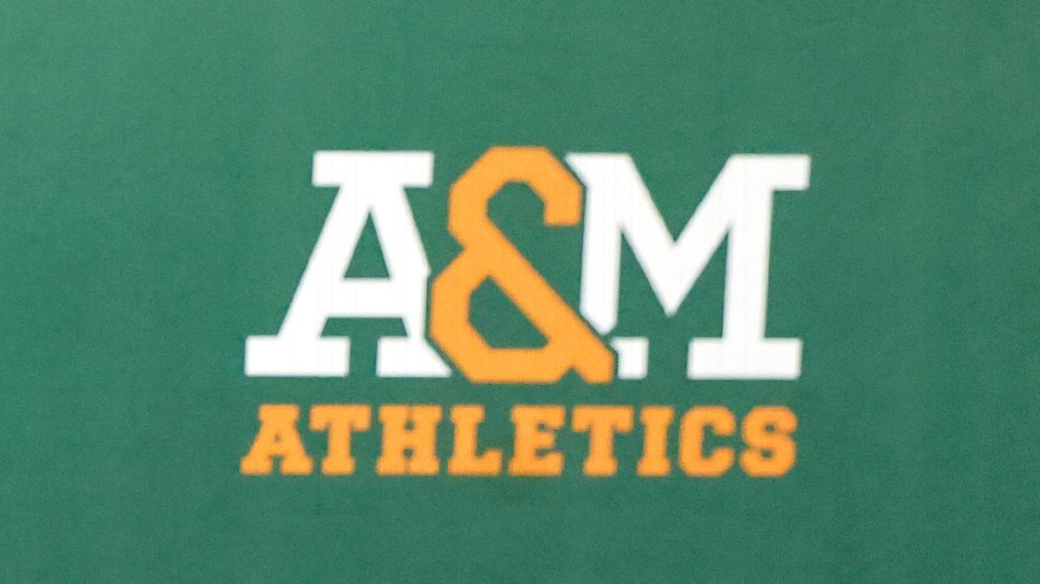 FAMU AD accused of stealing $24K from old job