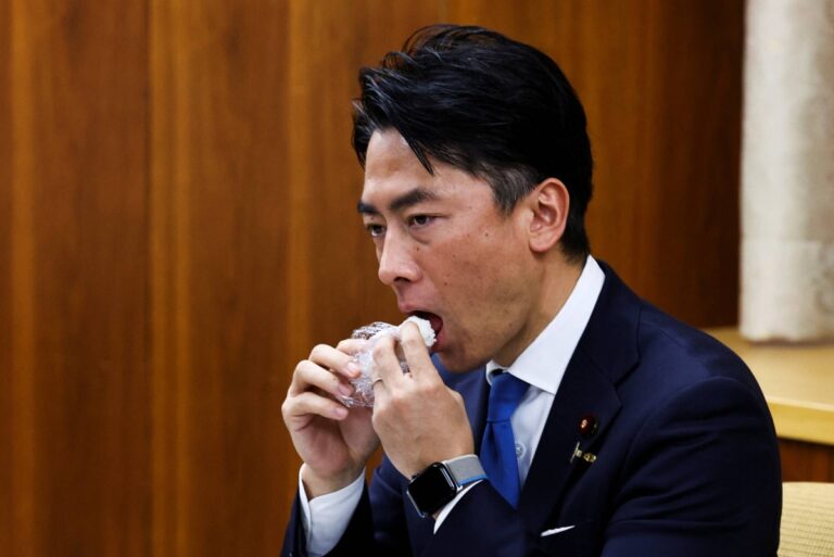 How long can Koizumi stay frenemies with the agriculture lobby?