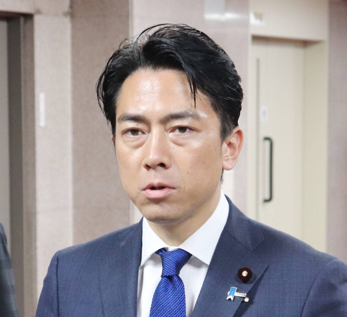 Japan to move up auctions for imported rice