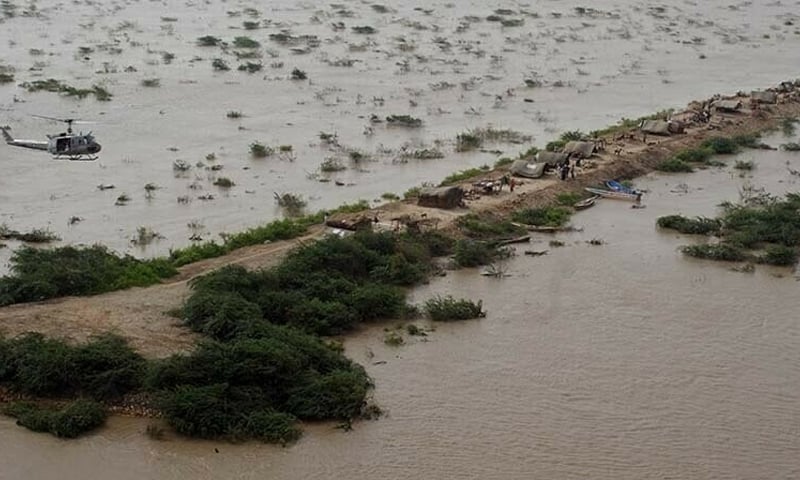 High Flood Threat In Sutlej Punjab Puts 9 Districts On High Alert