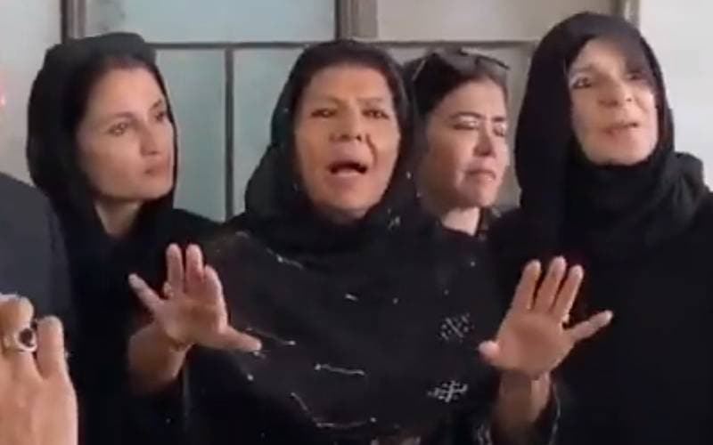 Who Is The Woman Who Egged Imran Khans Sister Aleema Khan