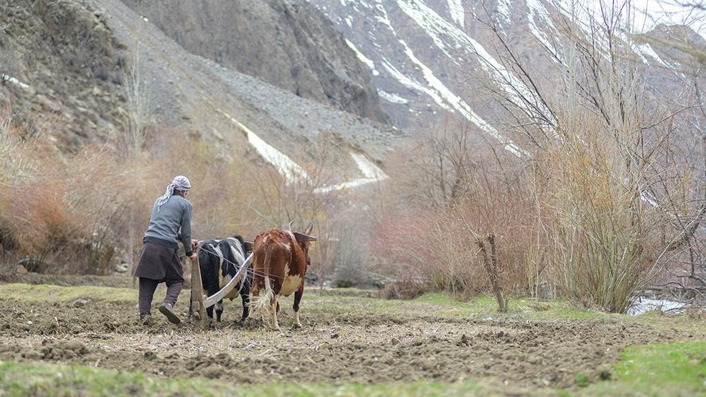 Green Climate Fund Approves 250mn For Glaciers To Farms Program In Asia Pakistan