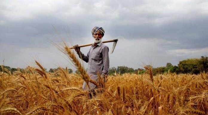 Pakistan Launches App To Digitally Facilitate Farmers Loans And Advisory Services