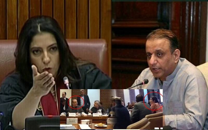 You Shut Up Palwasha Khan Aleem Khans Fiery Senate Showdown Goes Viral