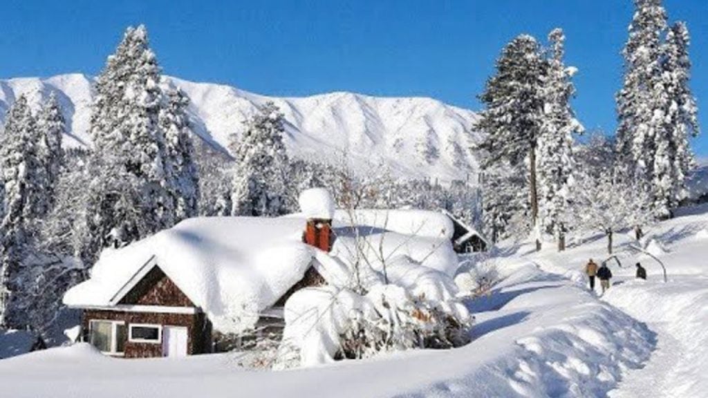 Avalanche In Chitrals Srigal Area Kills 9 One Child Rescued Alive
