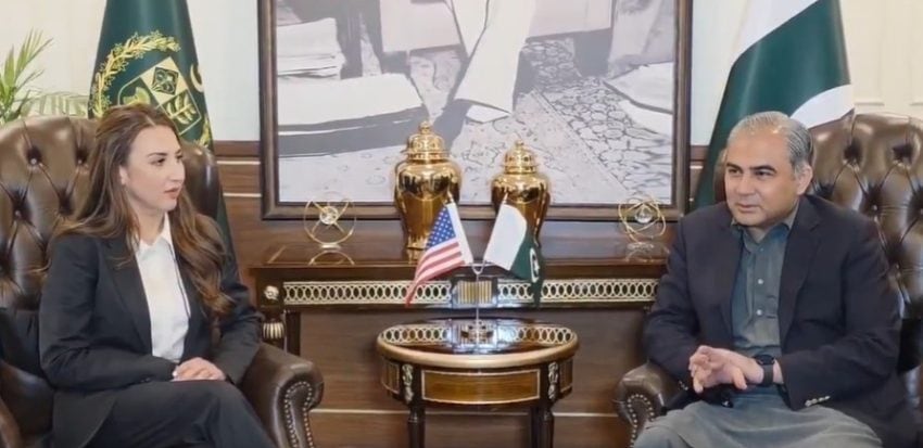 Pakistan, US join hands to crush Fake Visa Networks
