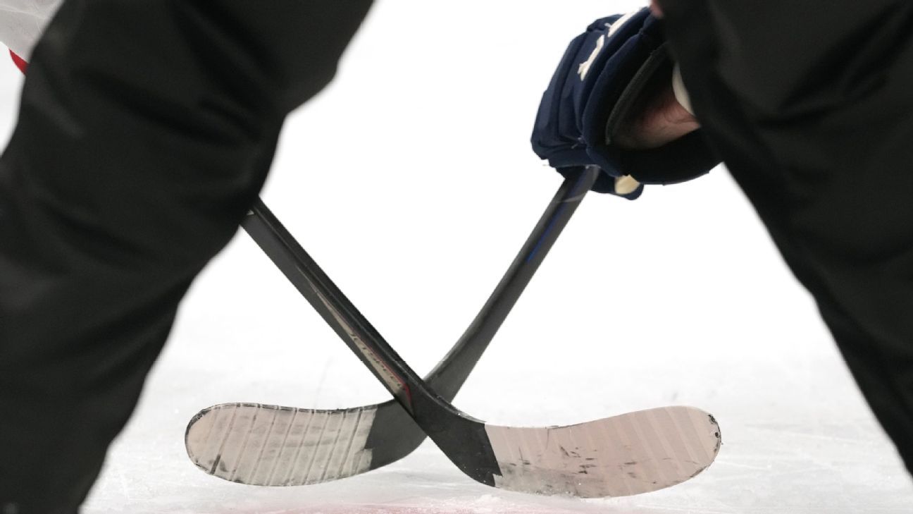 NHL reporter Jessi Pierce, 3 children die in house fire