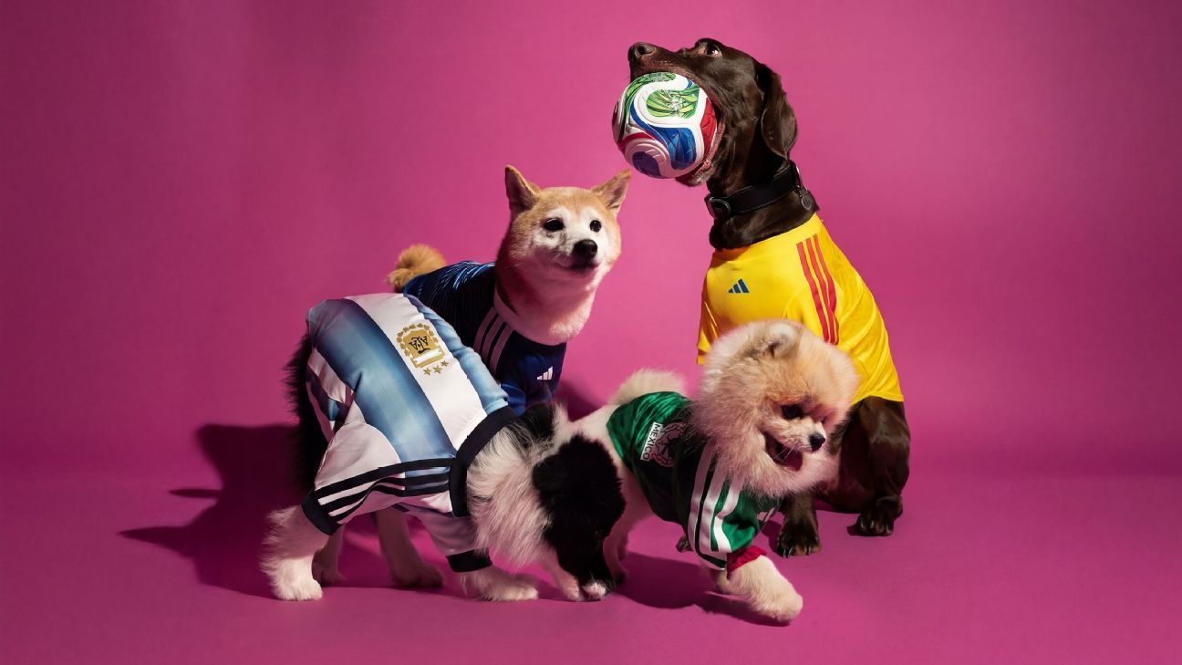 Dress your dog like Messi with 2026 World Cup kits for pets!