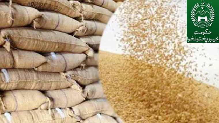 Kp Announces Hybrid Wheat Procurement Policy For 2026
