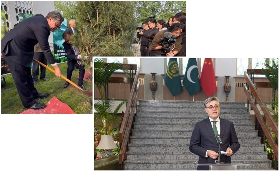 Pakistan, China mark 75 years of ‘iron-clad ties’ with tree plantation ceremony in Beijing