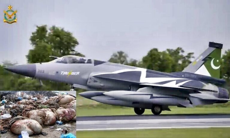 Eid Alert Pakistan Air Force Flags Offal Disposal Near Airbases As Major Aviation Hazard