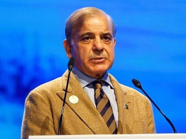 PM Shehbaz congratulates women’s team on 3-0 Zimbabwe sweep | The Express Tribune