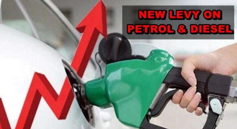 Petrol Levy Rises To Rs117 41 Per Litre In Pakistan Amid Fuel Price Surge