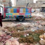 Punjab Approves Rs50000 Fine For Dumping Animal Offals In Streets On Eidul Azha