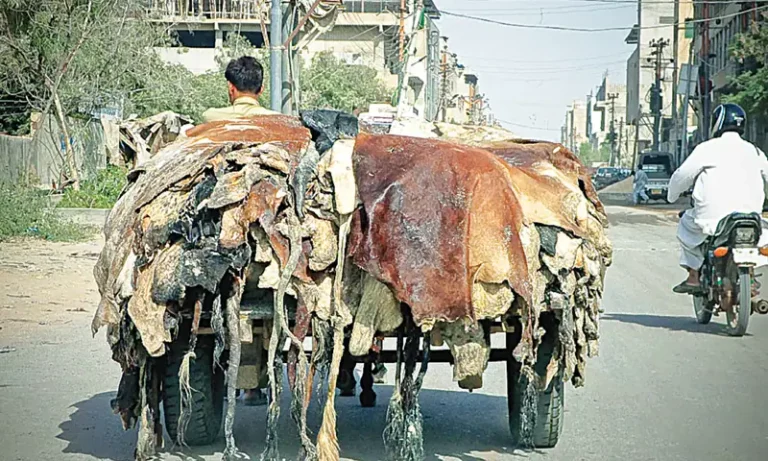 Punjab Under Section 144 During Eid Ul Azha With New Restrictions Imposed