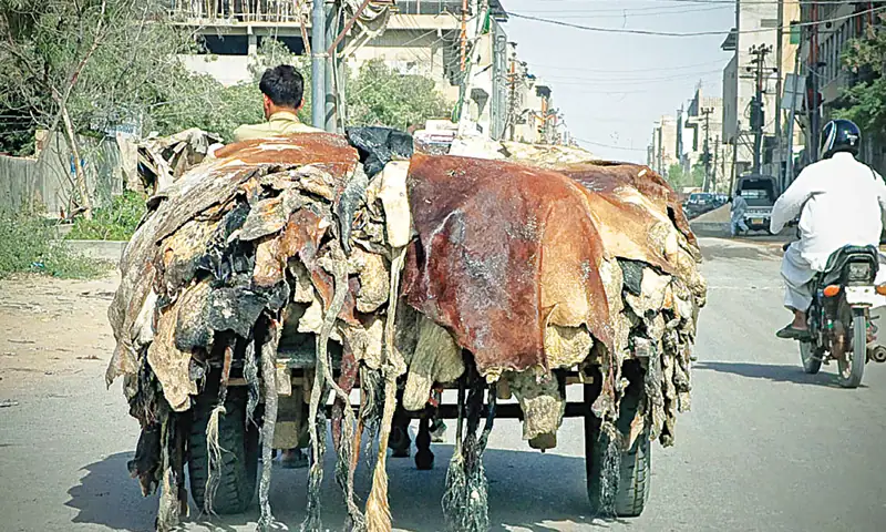 Punjab Under Section 144 During Eid Ul Azha With New Restrictions Imposed