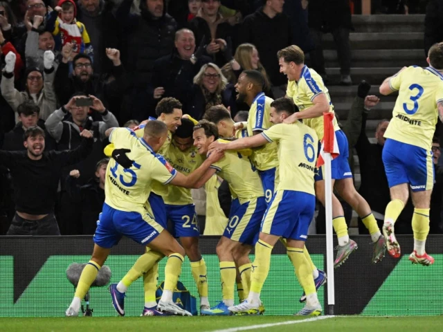 Southampton reach Championship play-off final | The Express Tribune