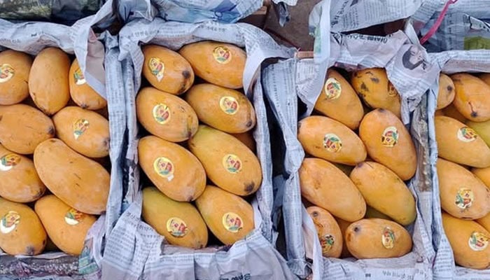 Ban Imposed On Bringing Mango Crates To Sindh Secretariat