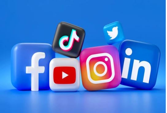 National Assembly Finance Committee Approves Tax On Social Media Income
