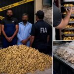 200kg Of Human Placenta Collected Monthly From Hospitals For Rs800 Per Organ Probe Reveals