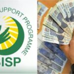 Benazir Income Support Prog Audit Flags Rs19 Billion Transfer Irregularities