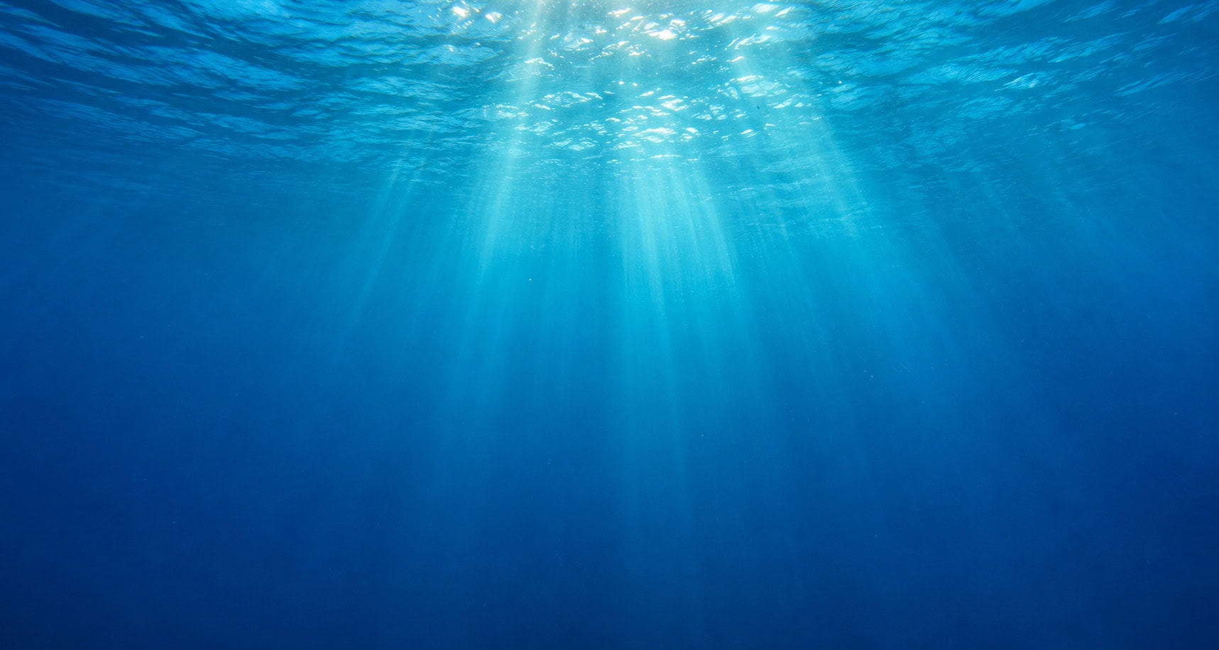 Does Water Really Expire Rethinking Our Perceptions Of Freshness
