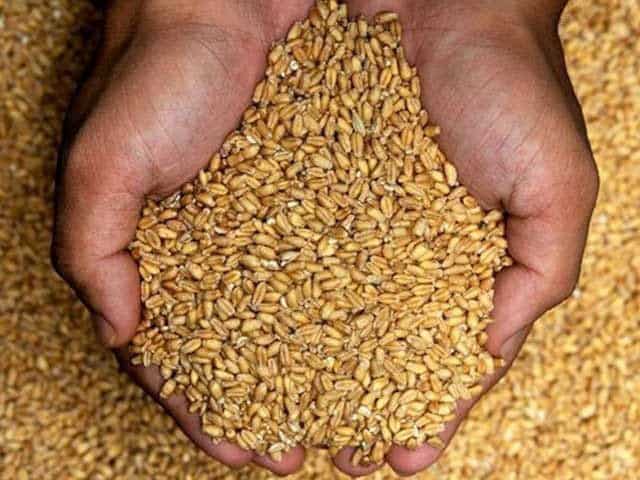 PM Shehbaz proposes Rs4,500 per maund wheat price for 2027